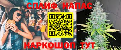 прущие грибы Малгобек