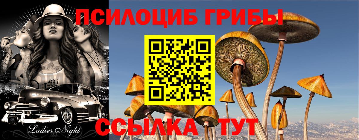 Гусь-Хрустальный  Псилоцибиновые грибы прущие грибы  Галлюциногенные грибы Magic Shrooms  Вход с VPN 